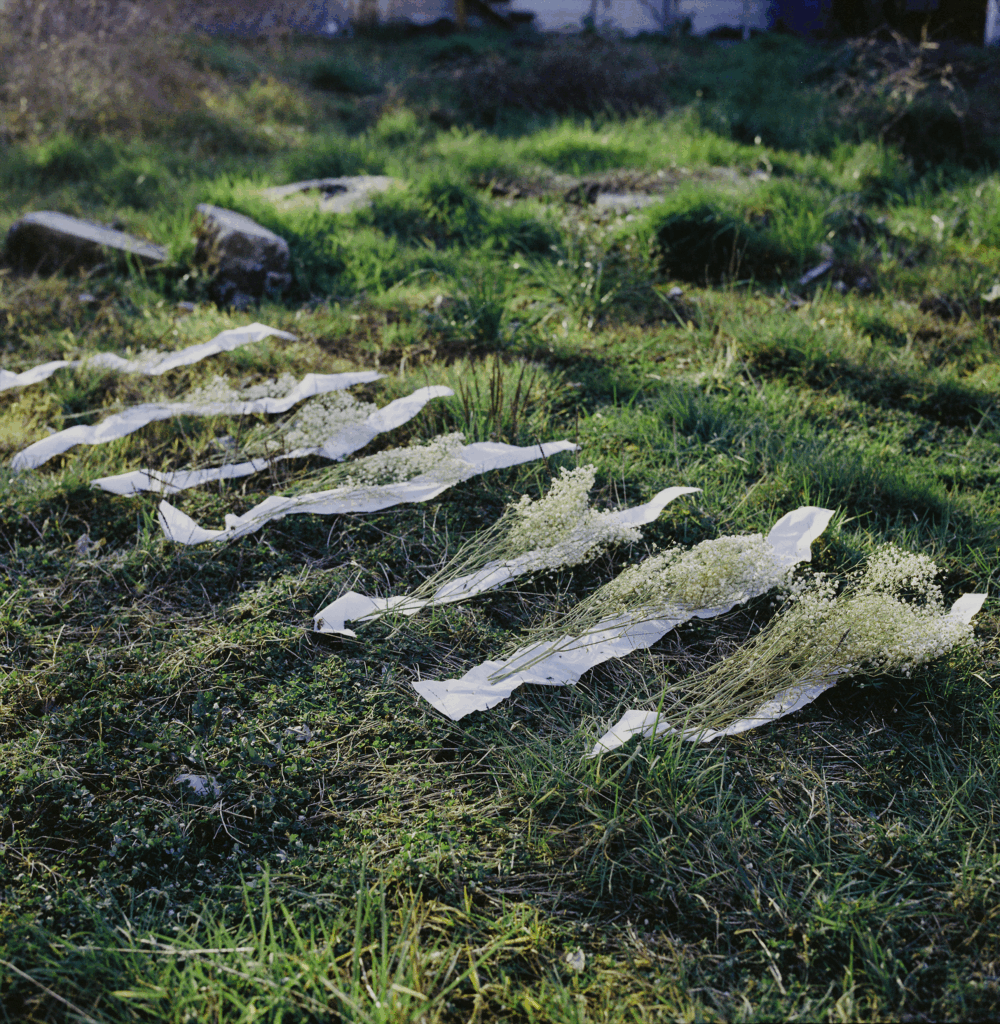 7991477_7991477-R1-E062 (1)