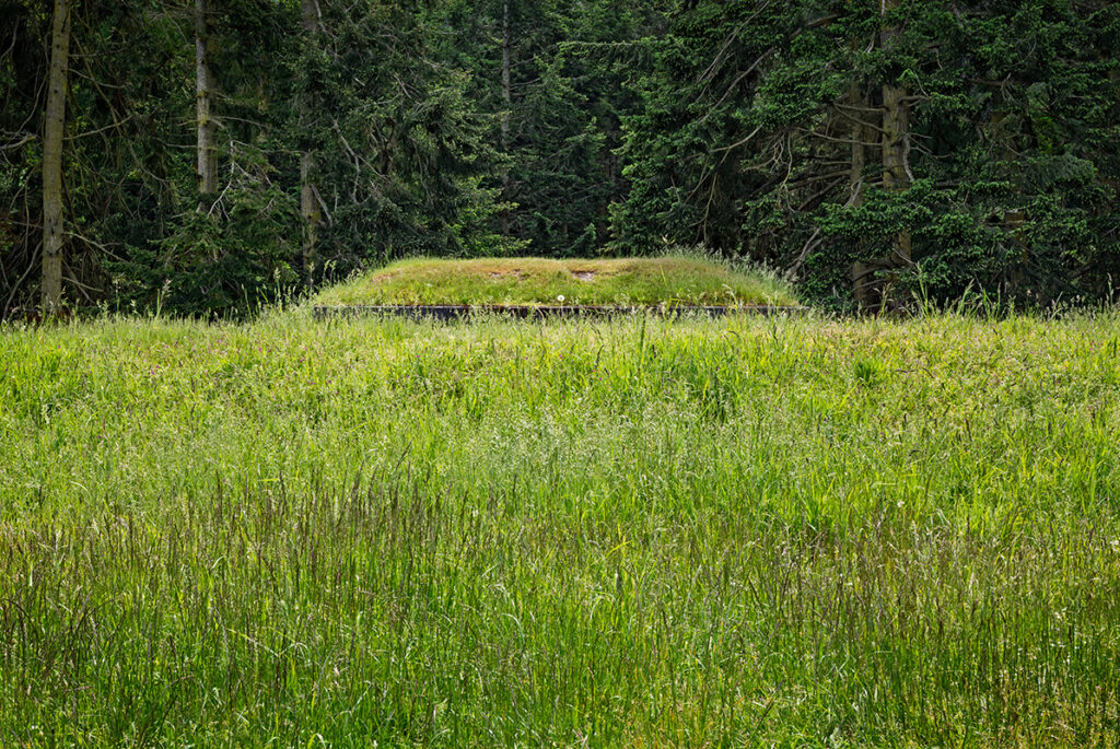 Back to the Earth, Battery Tolles Back to the Earth, Battery Tolles