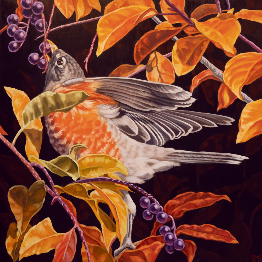 Robin's repast Robin's repast