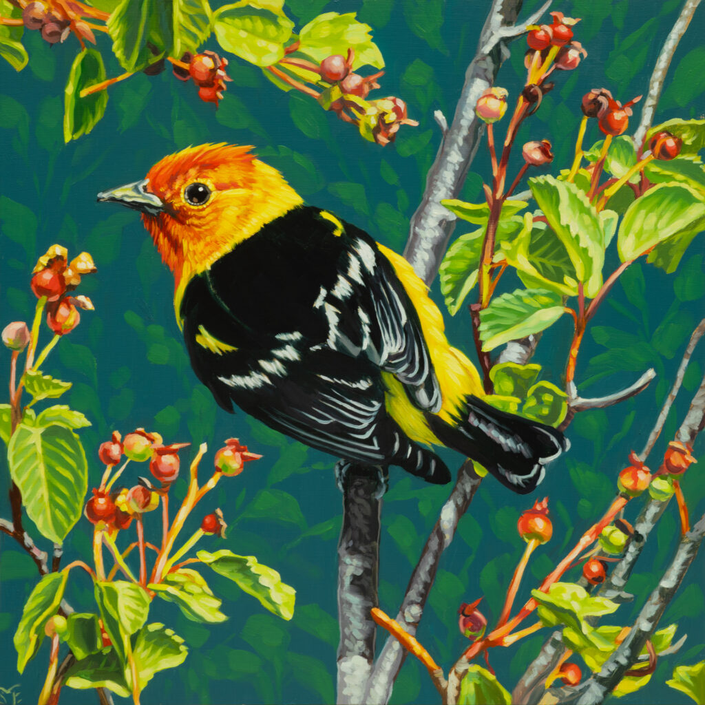 Serviceberry Season Serviceberry Season