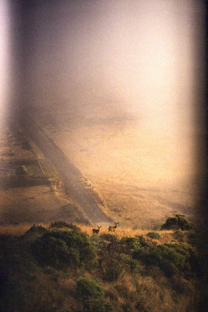 Twyla Sampaco Primary Attachment Twyla Sampaco Primary Attachment