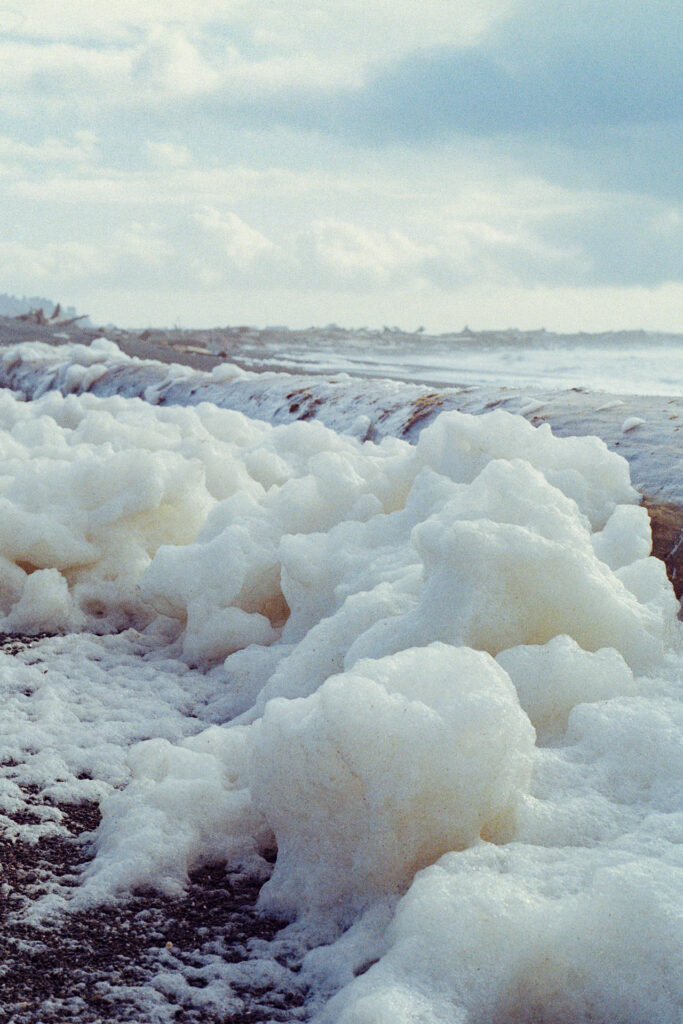 Twyla Sampaco Schrodinger’s Surrealist Situationship Twyla Sampaco Schrodinger’s Surrealist Situationship