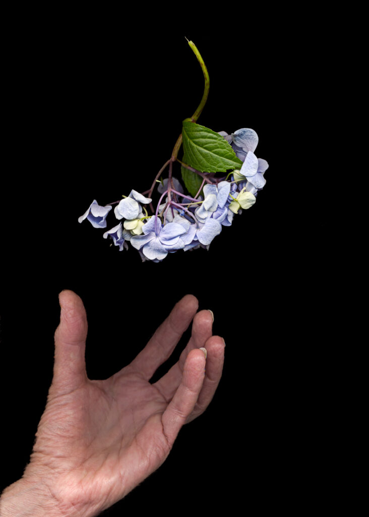 Ellen Sollod, Scavengings, archival pigment print/scanography, 19"h x 13"w, 2019, photo credit: Ellen Sollod