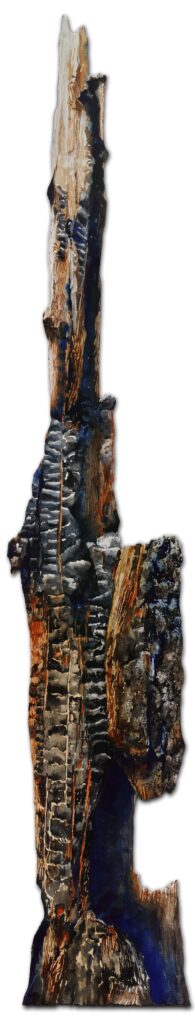 Woolf_Work Sample 5
